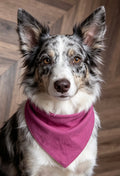Raspberry Corduroy Elastic Dog Bandana